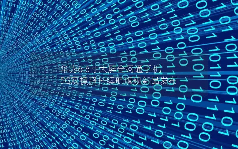 华为6.6寸大屏全网通手机 5G双模超长续航旗舰新品发布