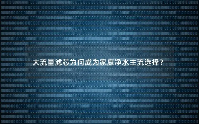 大流量滤芯为何成为家庭净水主流选择？