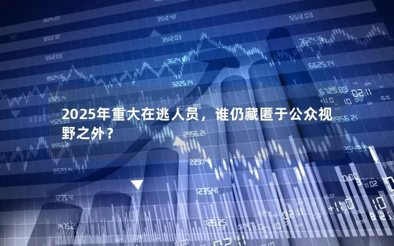 2025年重大在逃人员，谁仍藏匿于公众视野之外？