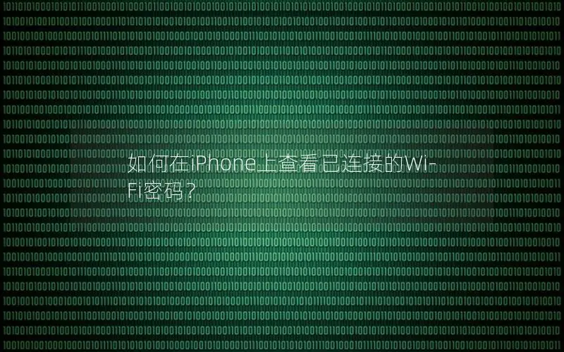 如何在iPhone上查看已连接的Wi-Fi密码？