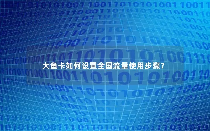 大鱼卡如何设置全国流量使用步骤？