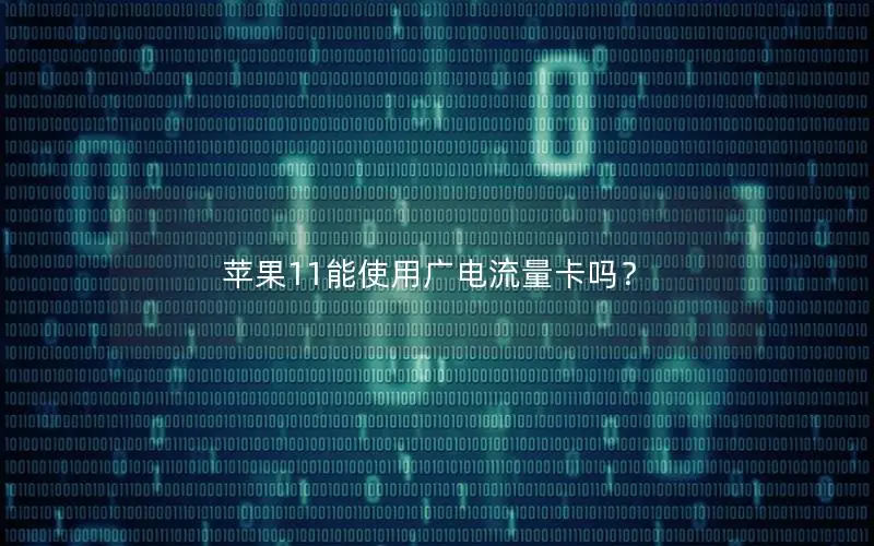 苹果11能使用广电流量卡吗？