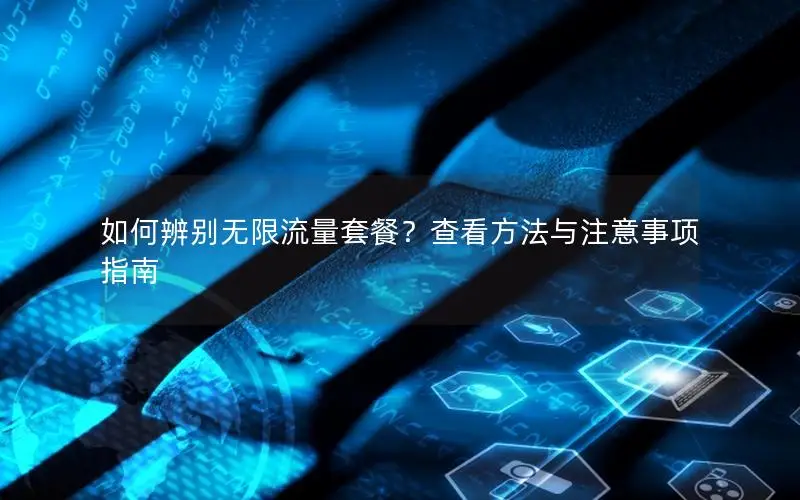 如何辨别无限流量套餐？查看方法与注意事项指南