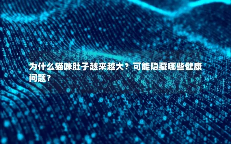 为什么猫咪肚子越来越大？可能隐藏哪些健康问题？