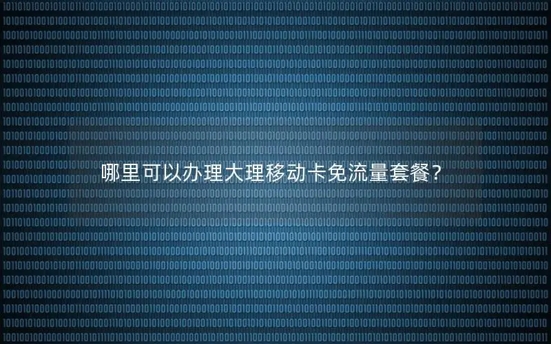 哪里可以办理大理移动卡免流量套餐？