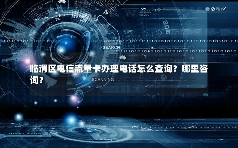 临渭区电信流量卡办理电话怎么查询？哪里咨询？