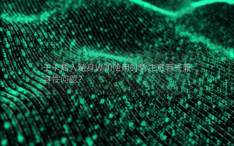 王卡插入随身Wiifi使用时需注意哪些兼容性问题？