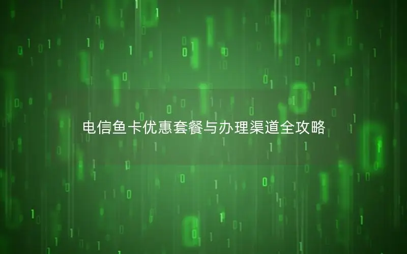 电信鱼卡优惠套餐与办理渠道全攻略