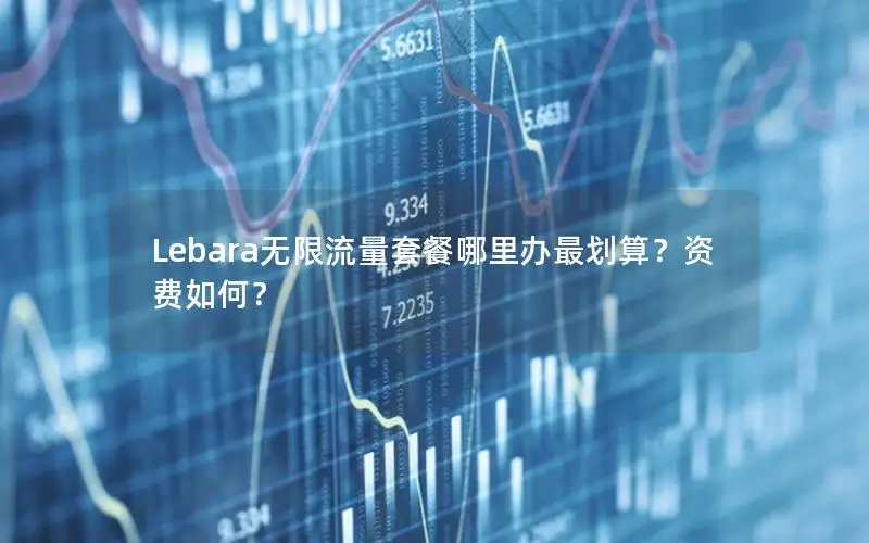 Lebara无限流量套餐哪里办最划算？资费如何？