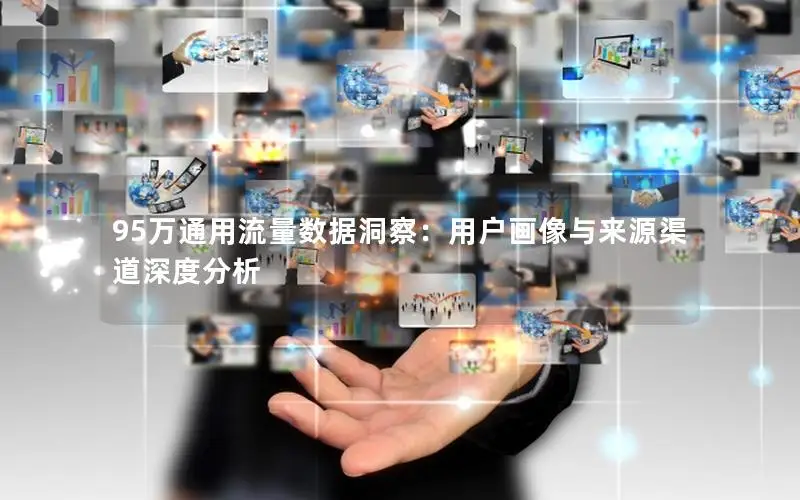 95万通用流量数据洞察：用户画像与来源渠道深度分析