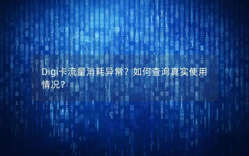 Digi卡流量消耗异常？如何查询真实使用情况？