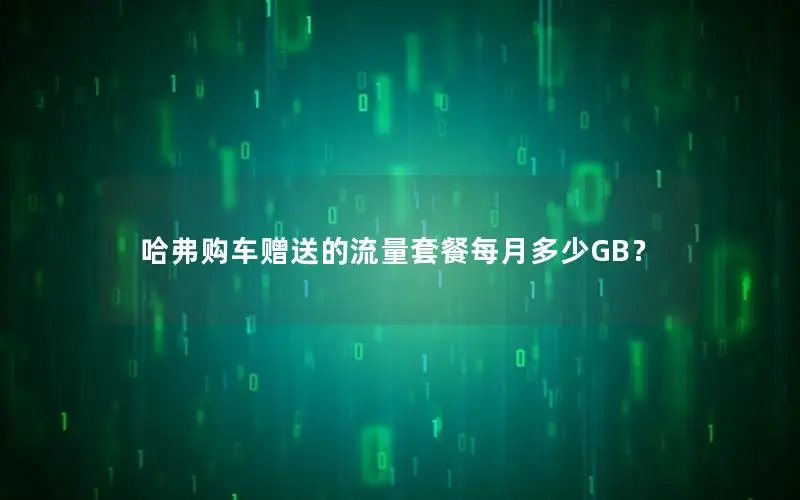哈弗购车赠送的流量套餐每月多少GB？