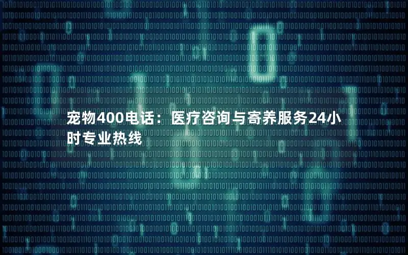 宠物400电话：医疗咨询与寄养服务24小时专业热线