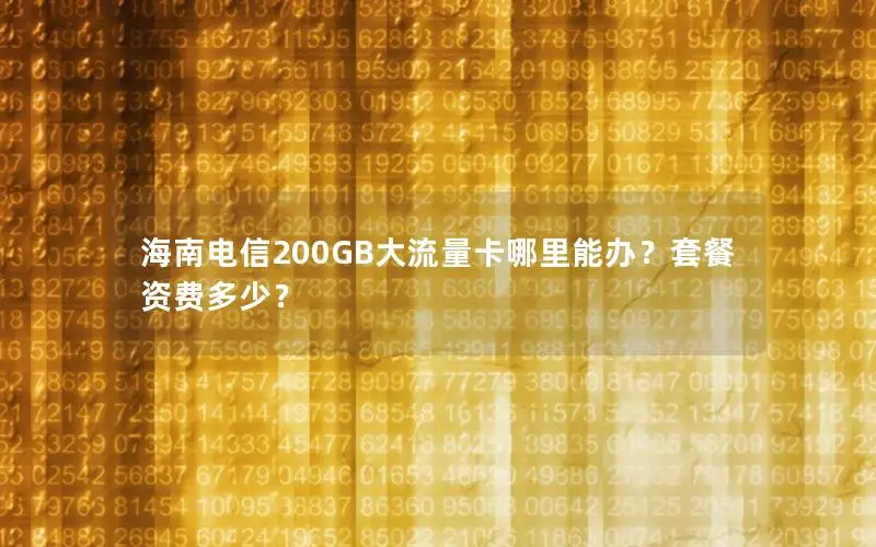 海南电信200GB大流量卡哪里能办？套餐资费多少？