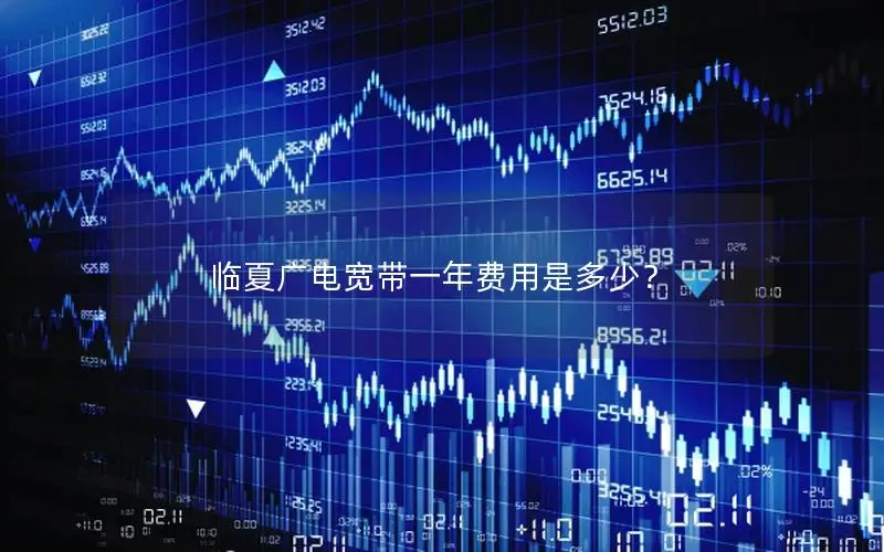 临夏广电宽带一年费用是多少？