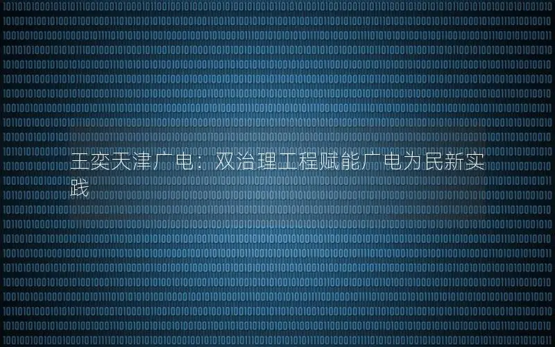 王奕天津广电：双治理工程赋能广电为民新实践