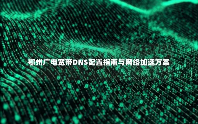 鄂州广电宽带DNS配置指南与网络加速方案