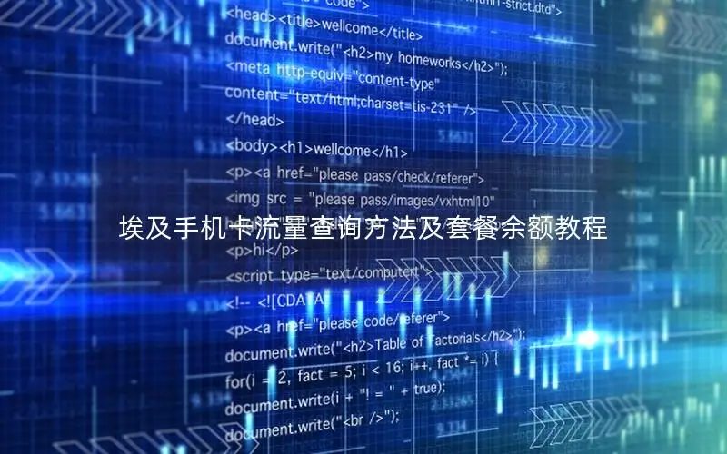 埃及手机卡流量查询方法及套餐余额教程