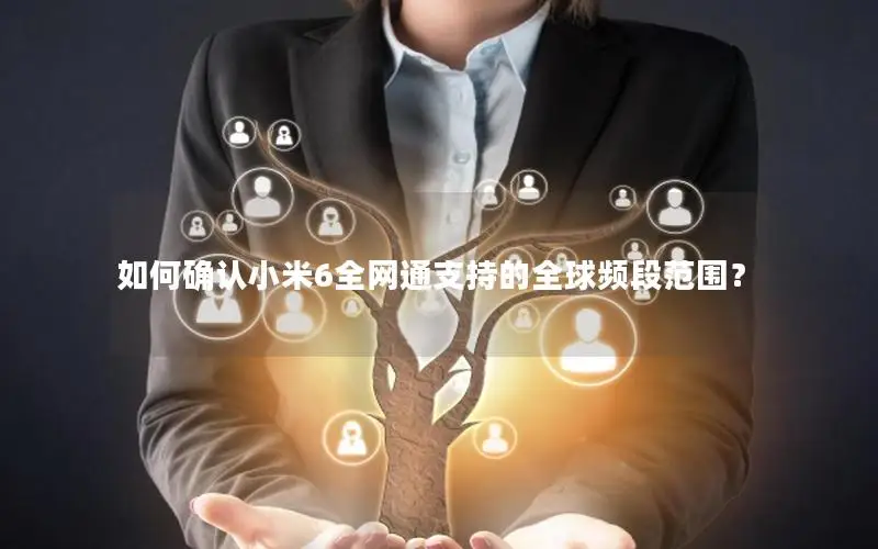 如何确认小米6全网通支持的全球频段范围？
