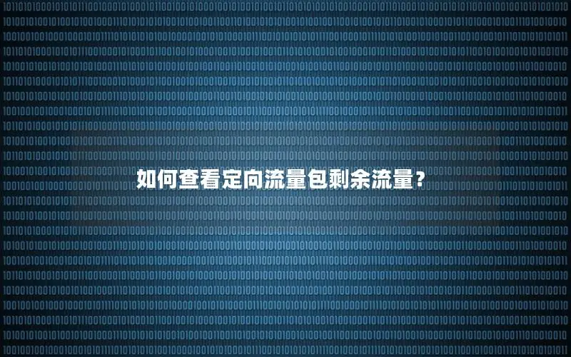 如何查看定向流量包剩余流量？