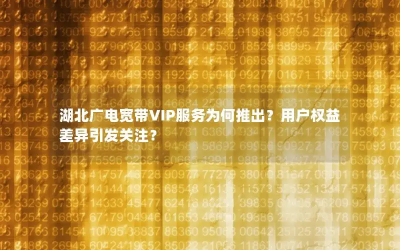 湖北广电宽带VIP服务为何推出？用户权益差异引发关注？