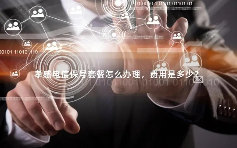 孝感电信保号套餐怎么办理，费用是多少？